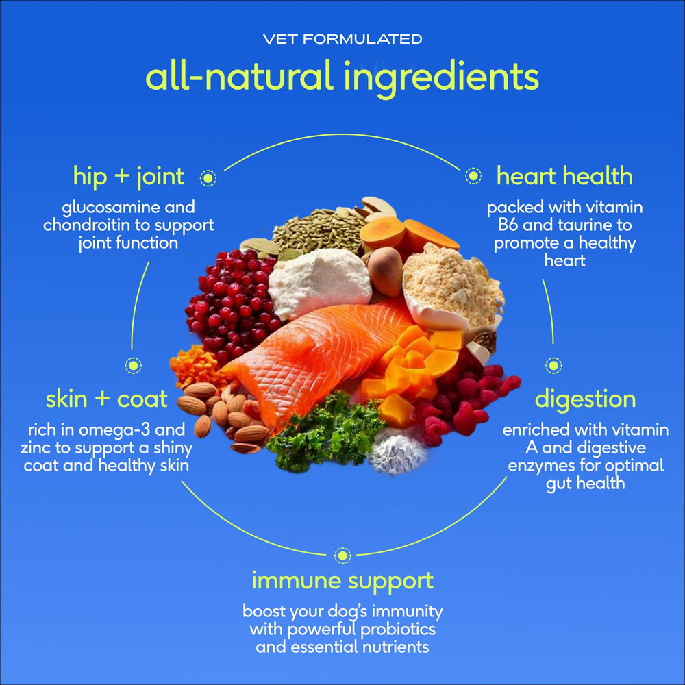 Native Pet scoop measuring one daily serving for convenience