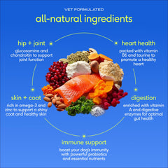 Native Pet scoop measuring one daily serving for convenience