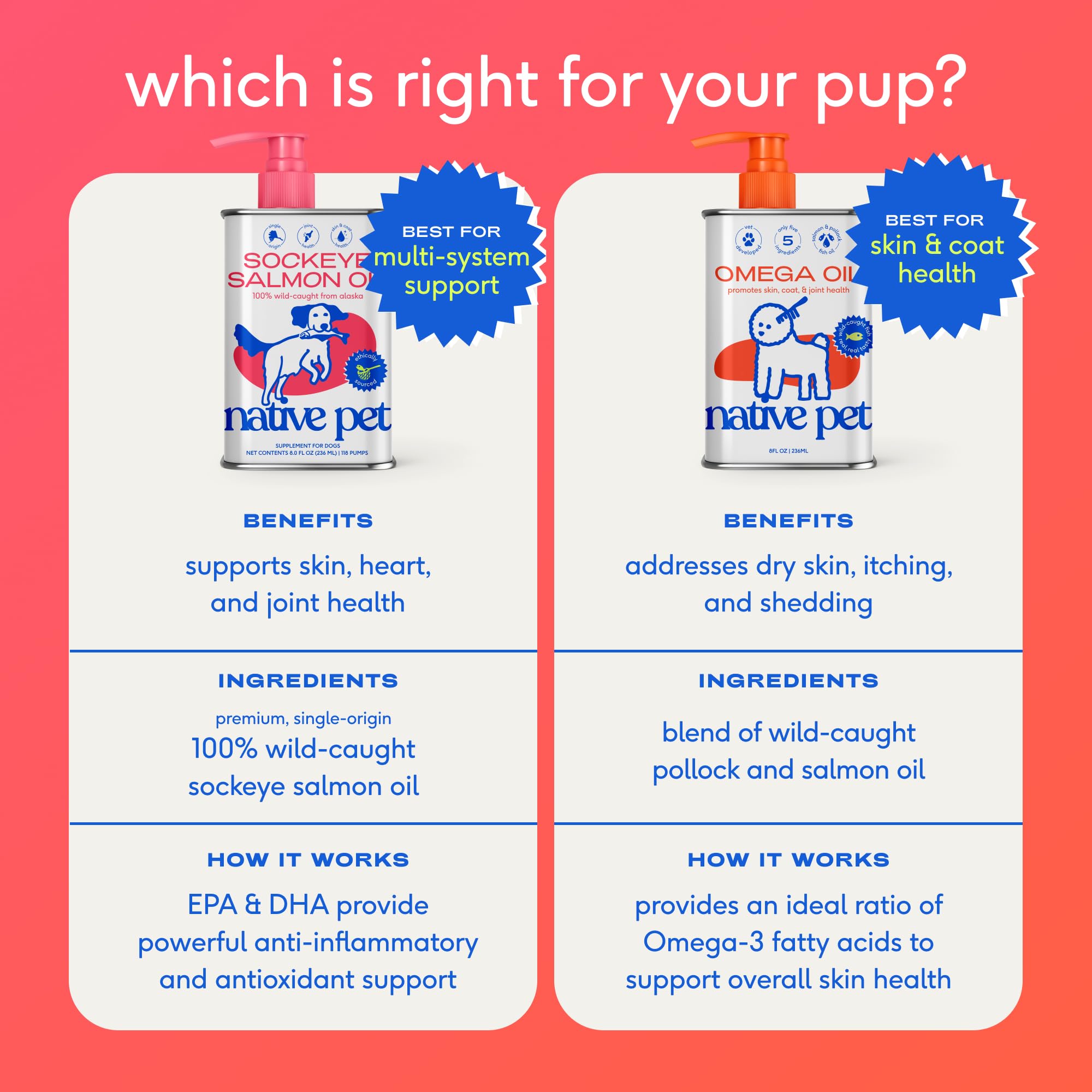 Native Pet dog accepting food topped with oil promoting coat health