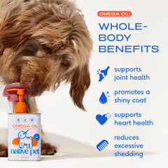 Native Pet pump dispenser detail with locking mechanism for mess-free dosing