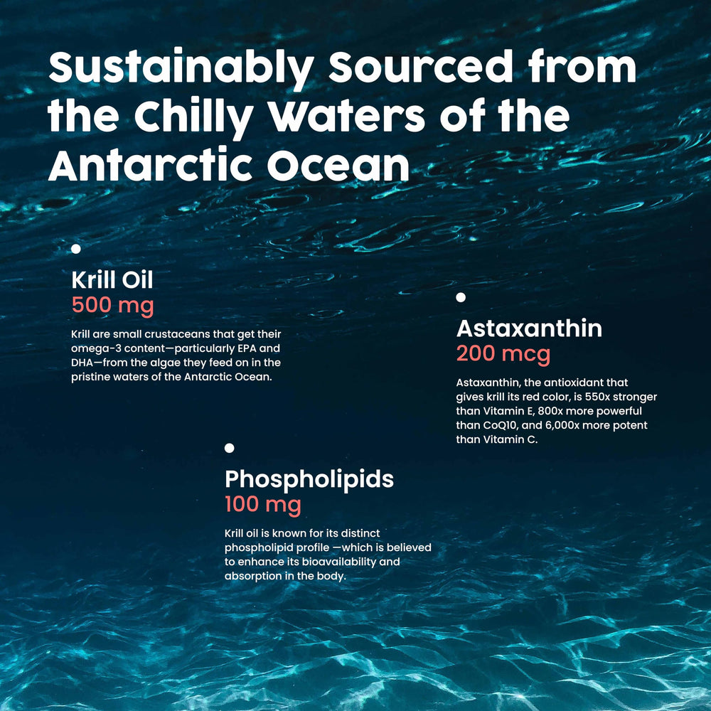 NativePath Antarctic water graphic evoking wild-caught low-contaminant source