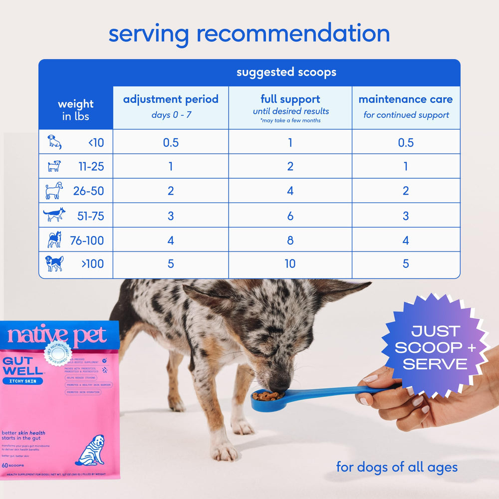 Dog eating food with Native Pet powder mixed in for improved palatability