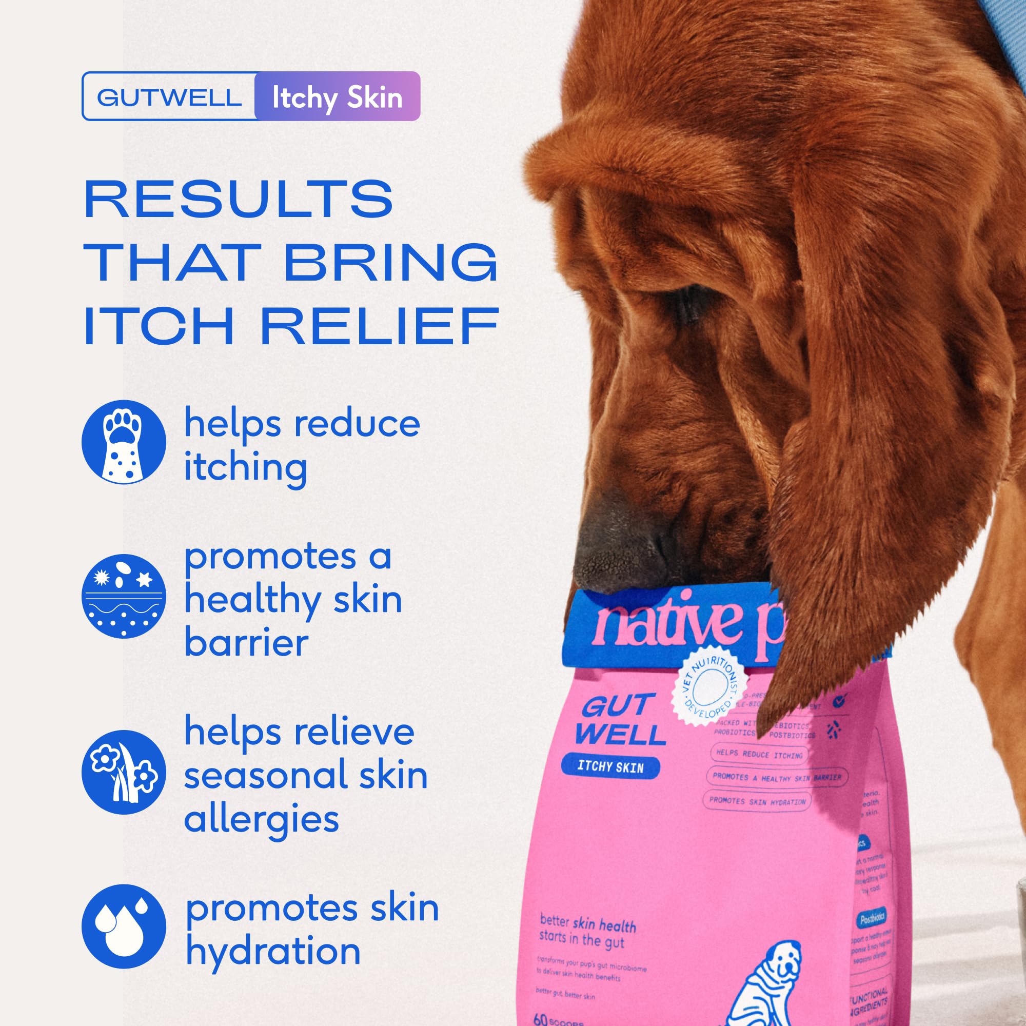 Native Pet powder close-up texture showing cold-pressed fine blend for potency