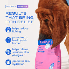 Native Pet powder close-up texture showing cold-pressed fine blend for potency