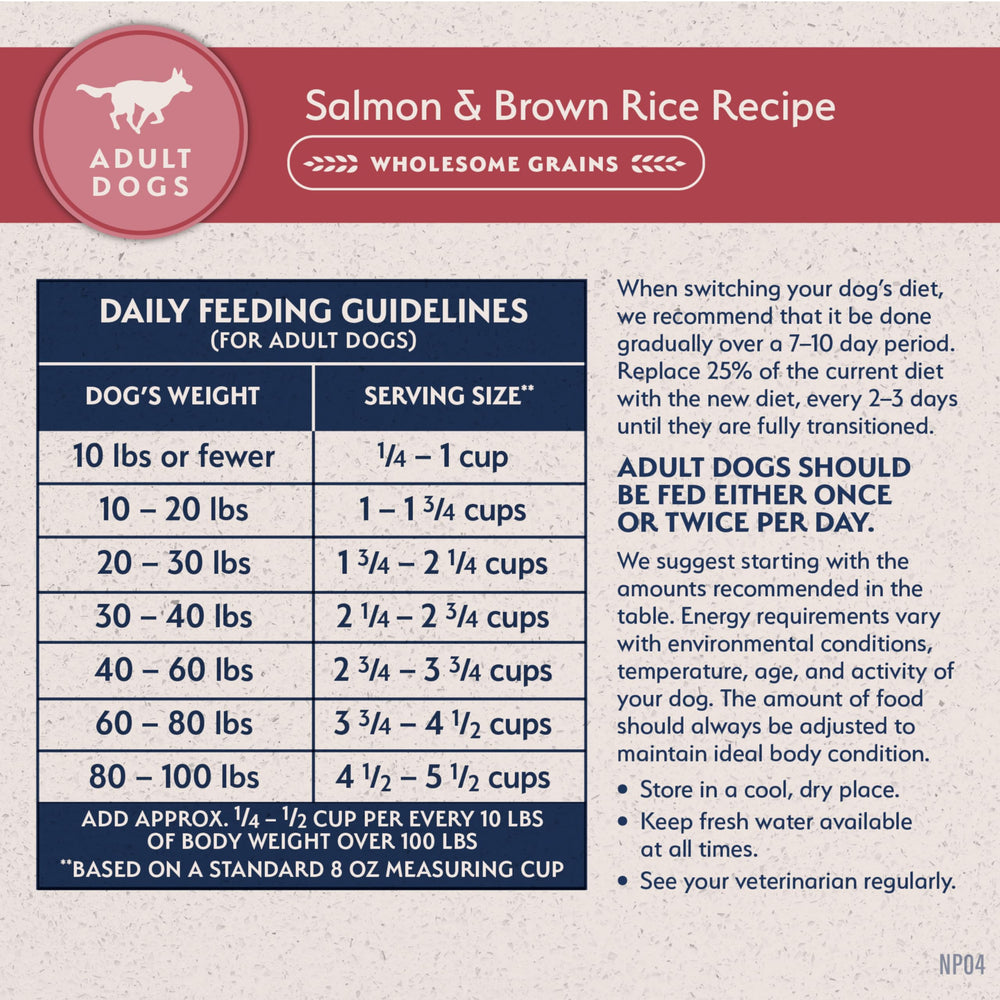 Natural Balance detailed kibble texture emphasizing crunchy coating