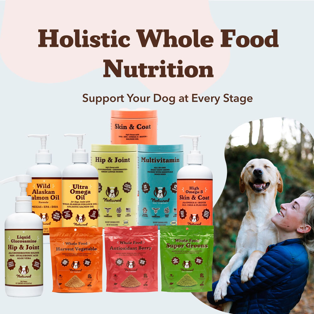 Natural Dog Company mixed in water bowl with dog drinking comfortably