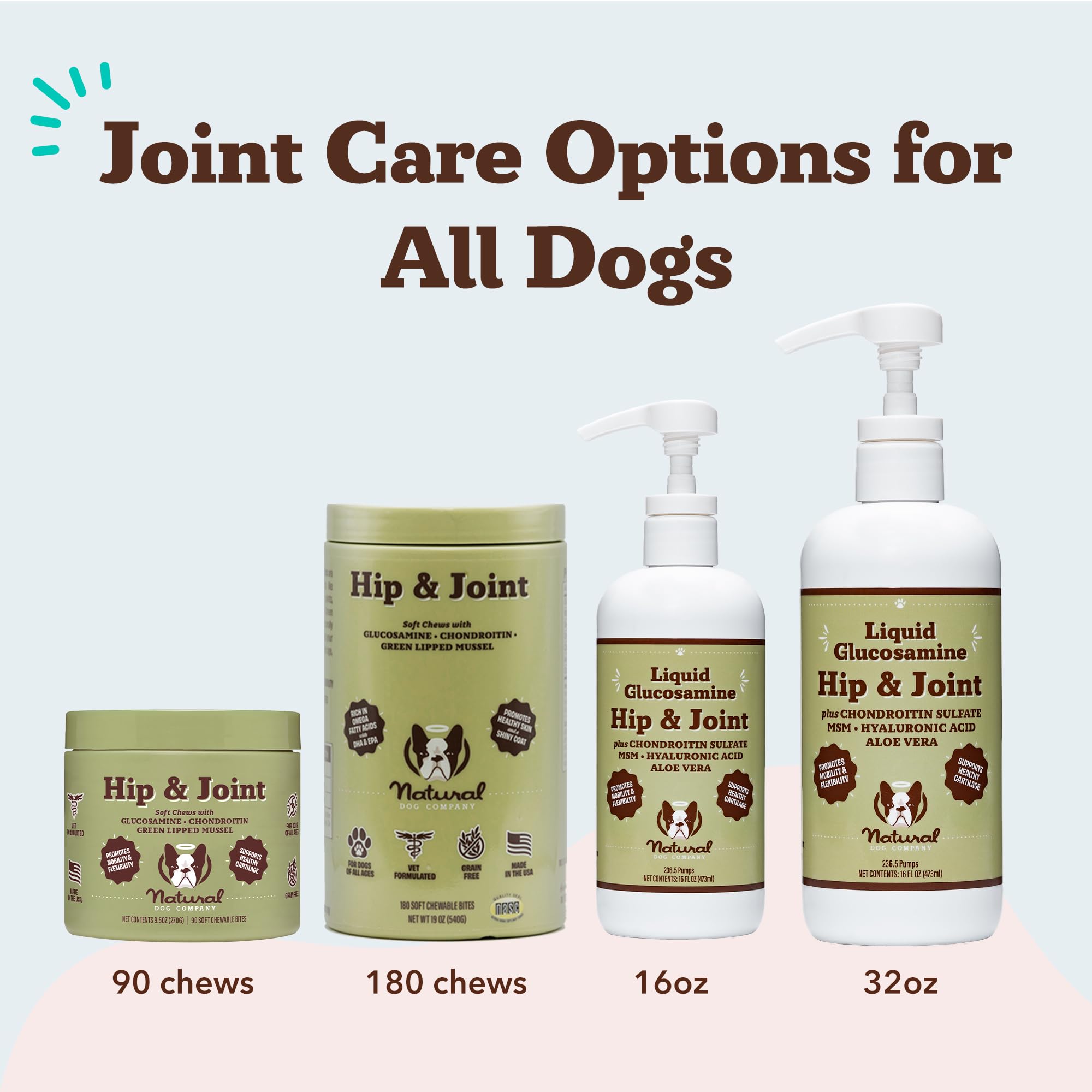 Natural Dog Company lifestyle scene with senior dog walking easily