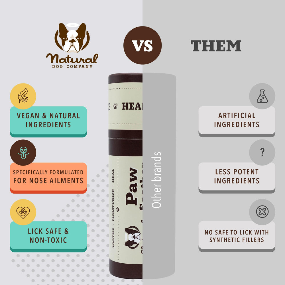 Natural Dog Company lifestyle shot in park showing balm used after outdoor walk