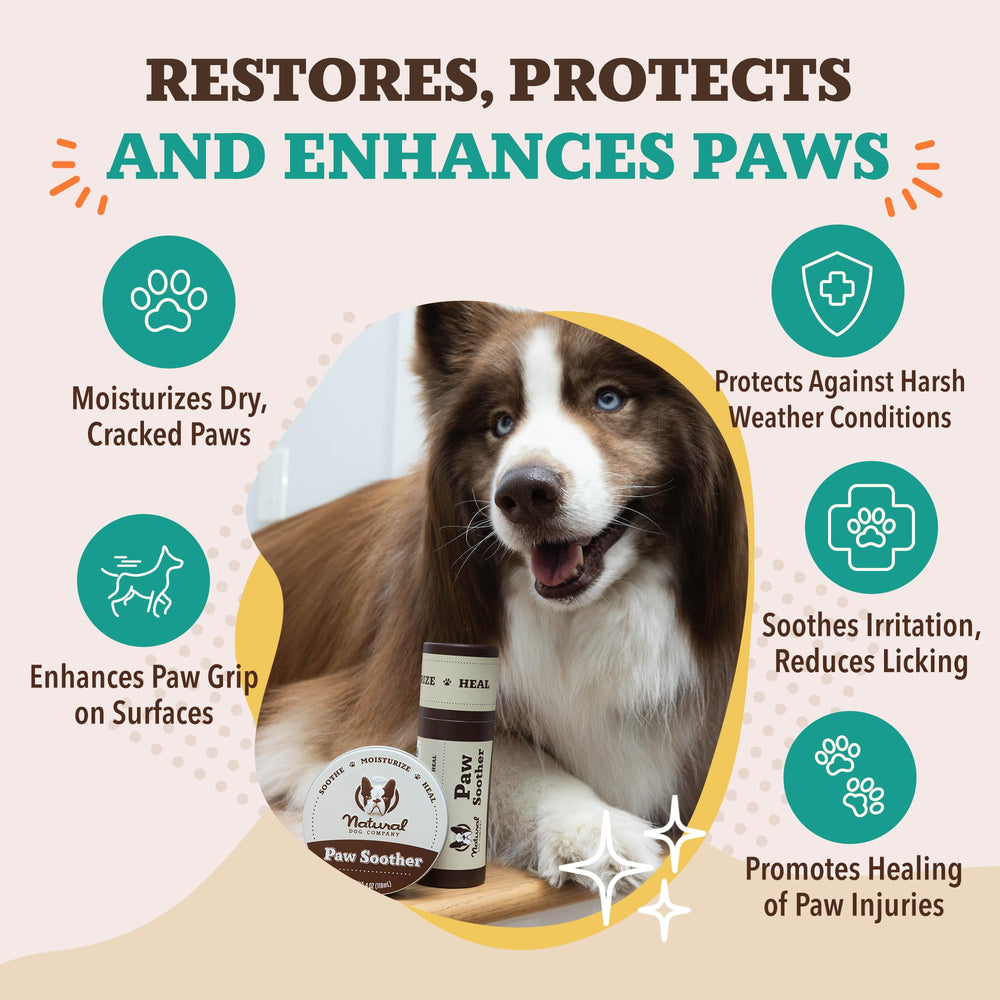 Natural Dog Company size comparison with hand showing compact 2 oz travel-friendly stick