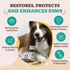 Natural Dog Company size comparison with hand showing compact 2 oz travel-friendly stick