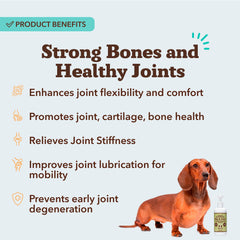 Natural Dog Company pouring supplement into dog food for easy dosing