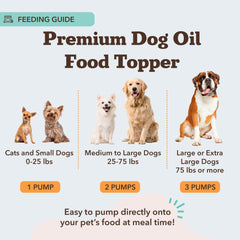 Natural Dog Company bottle beside kibble illustrating easy food topper benefit