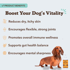 Natural Dog Company close-up oil texture highlighting rich omega fatty acids