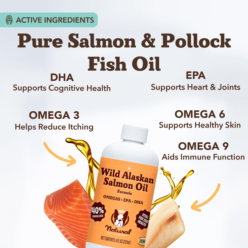 Natural Dog Company pump dispensing salmon oil onto a spoon beneficial dosage
