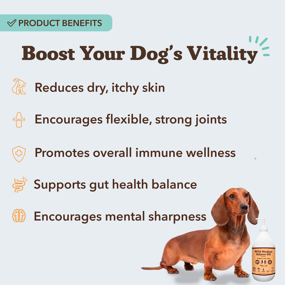 Natural Dog Company pump top for easy dosing and mess‑free serving