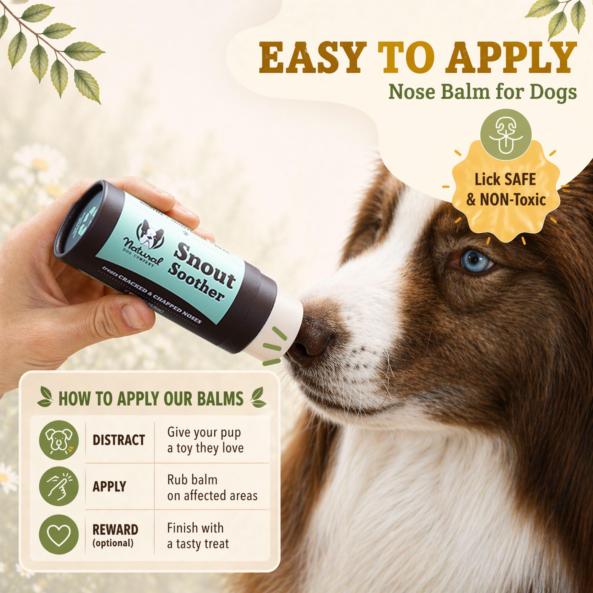 Natural Dog Company reapplying balm after walk to restore moisture