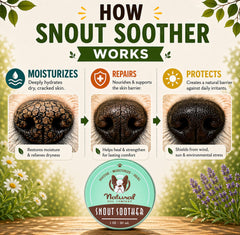 Natural Dog Company applying stick to dog nose for quick hydration