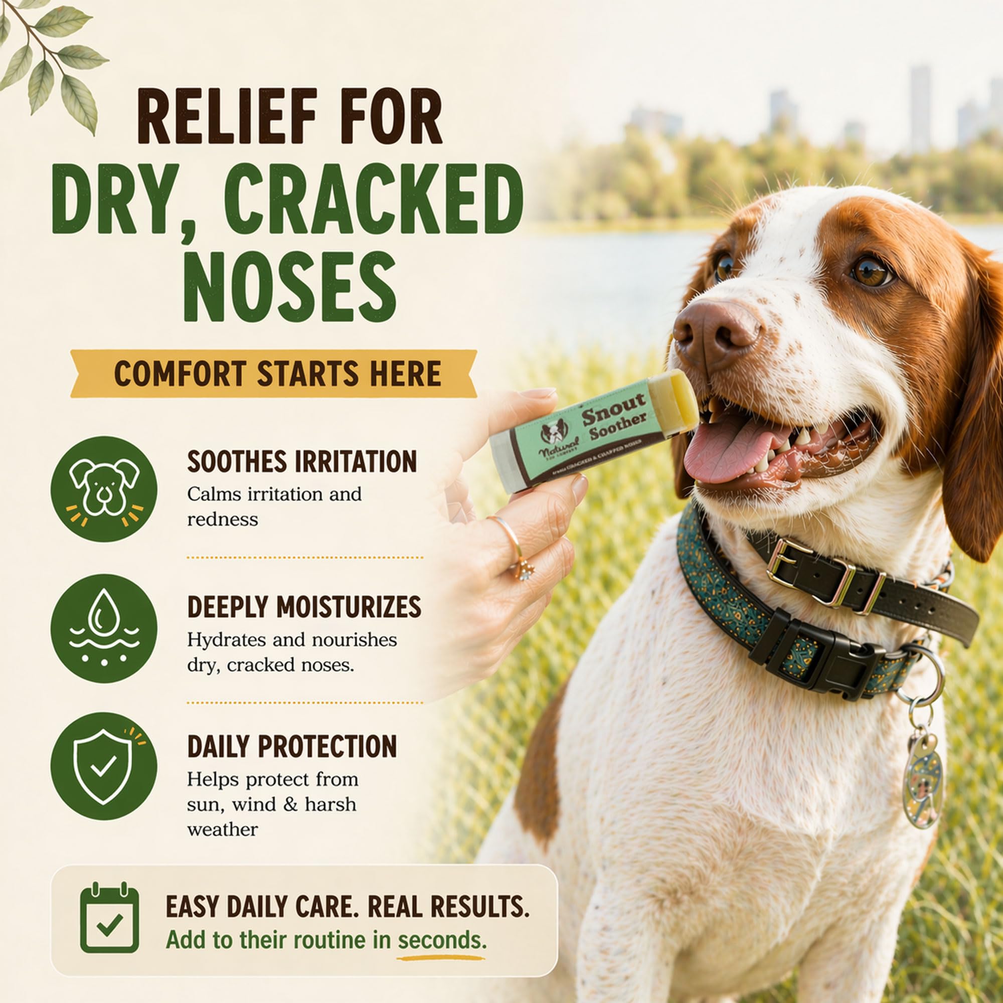 Natural Dog Company ingredients flatlay highlighting natural nourishing oils