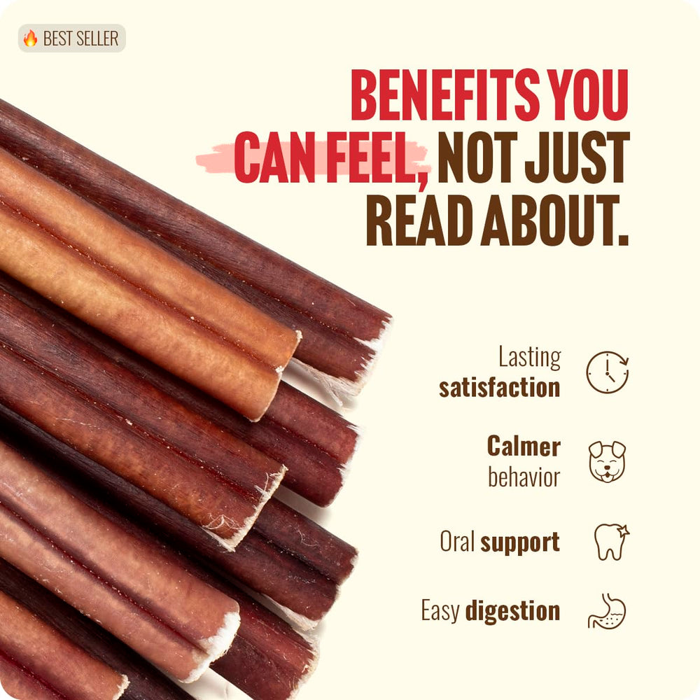 Natural Farm dog happily chewing a bully stick offering focused enrichment benefit