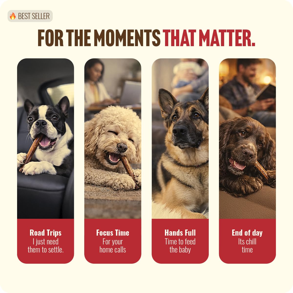 Natural Farm chew held in hand to show scale and appropriate dog size benefit