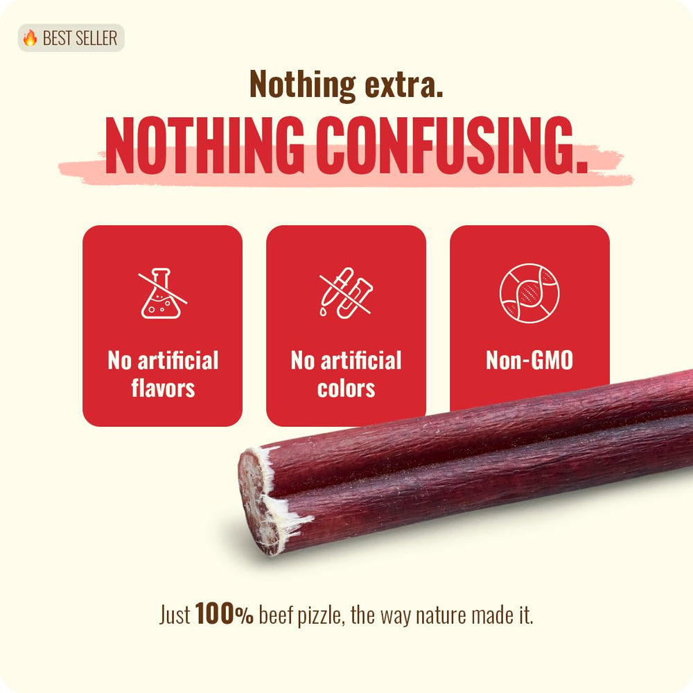 Natural Farm bully stick beside 12-inch ruler demonstrating full-length size benefit