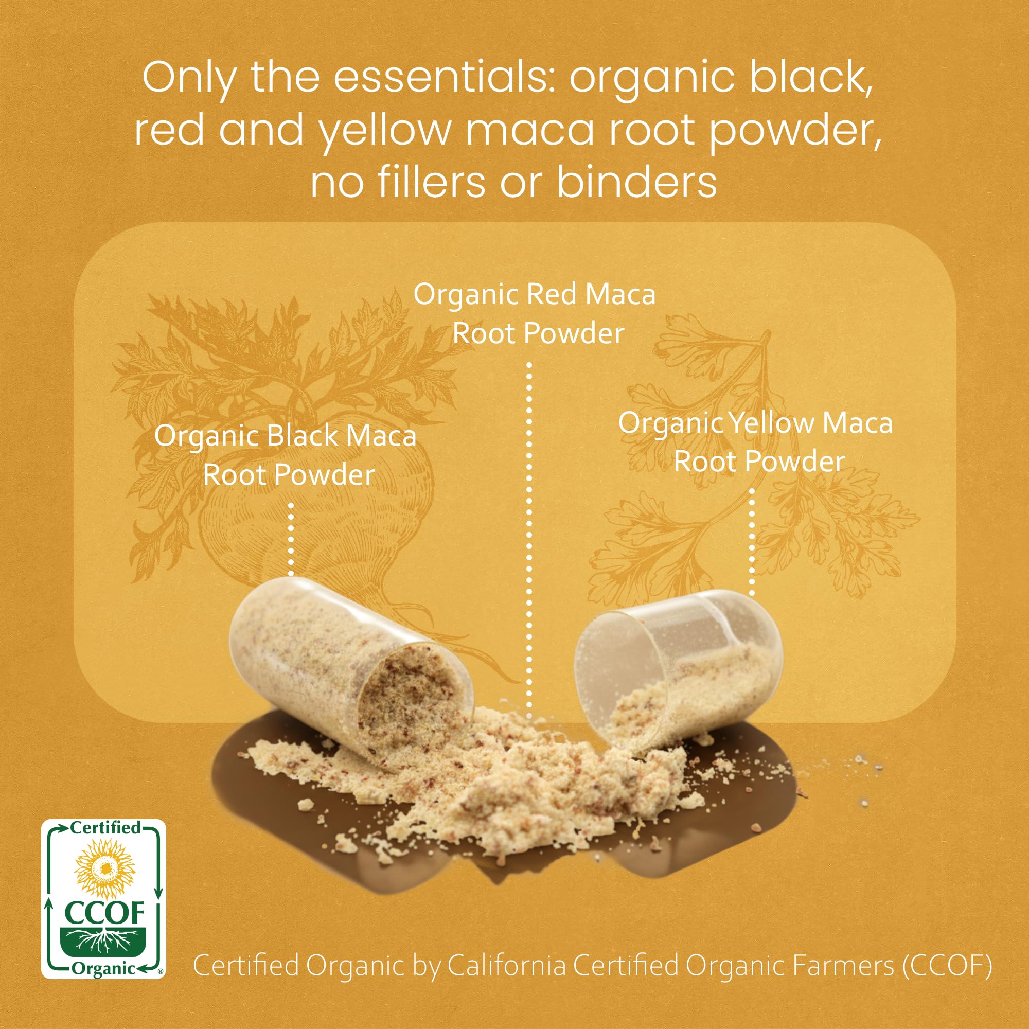 NaturaLife Labs maca powder texture image showing gelatinized starch reduction