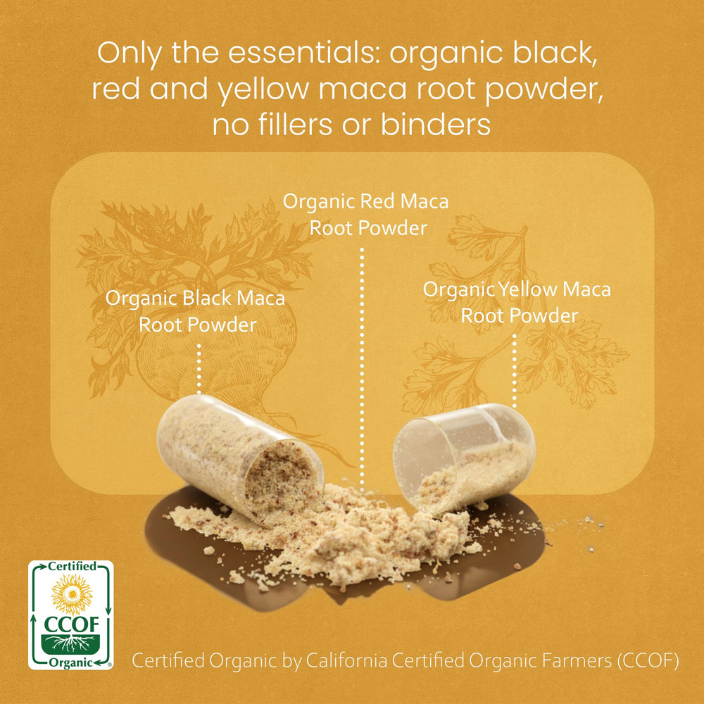 NaturaLife Labs maca powder texture image showing gelatinized starch reduction