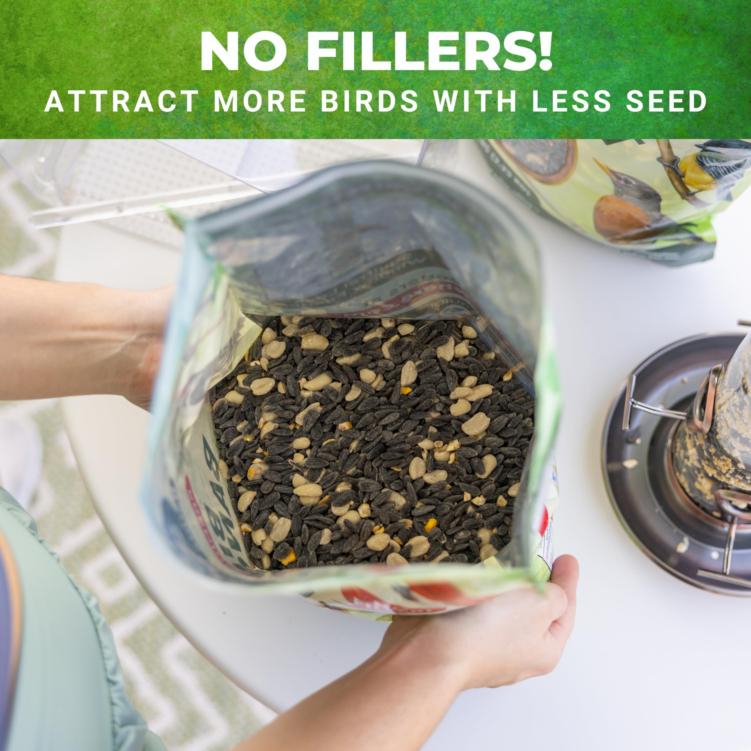Nature Anywhere seed in outdoor feeder attracting birds for enjoyment