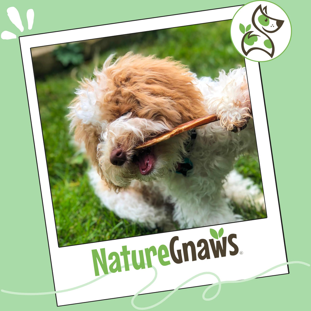 Nature Gnaws label and ingredients panel showing single-ingredient transparency