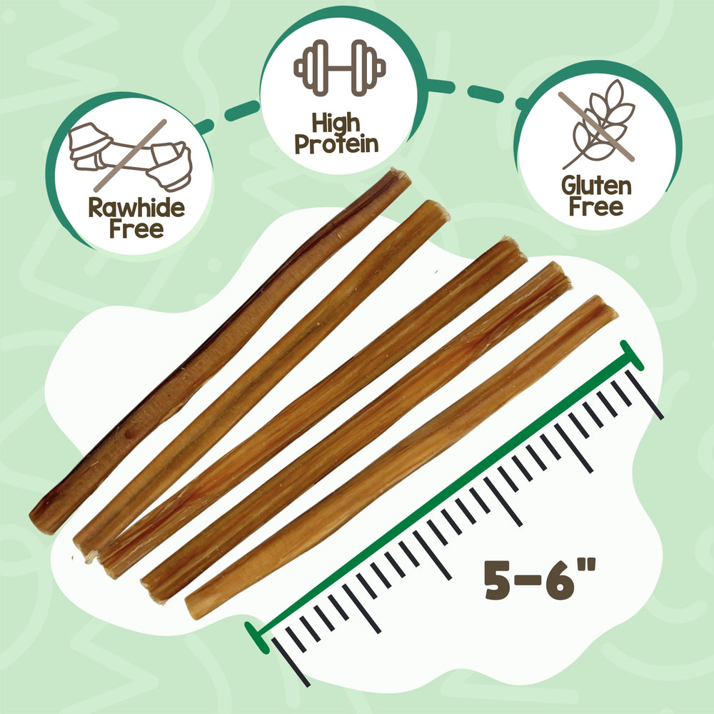 Nature Gnaws single bully stick held to show full 11–12 inch length benefit