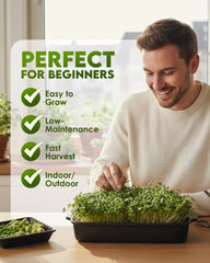 Nature Jims Sprouts fresh sprouts in jar ready to eat benefit: quick indoor harvest