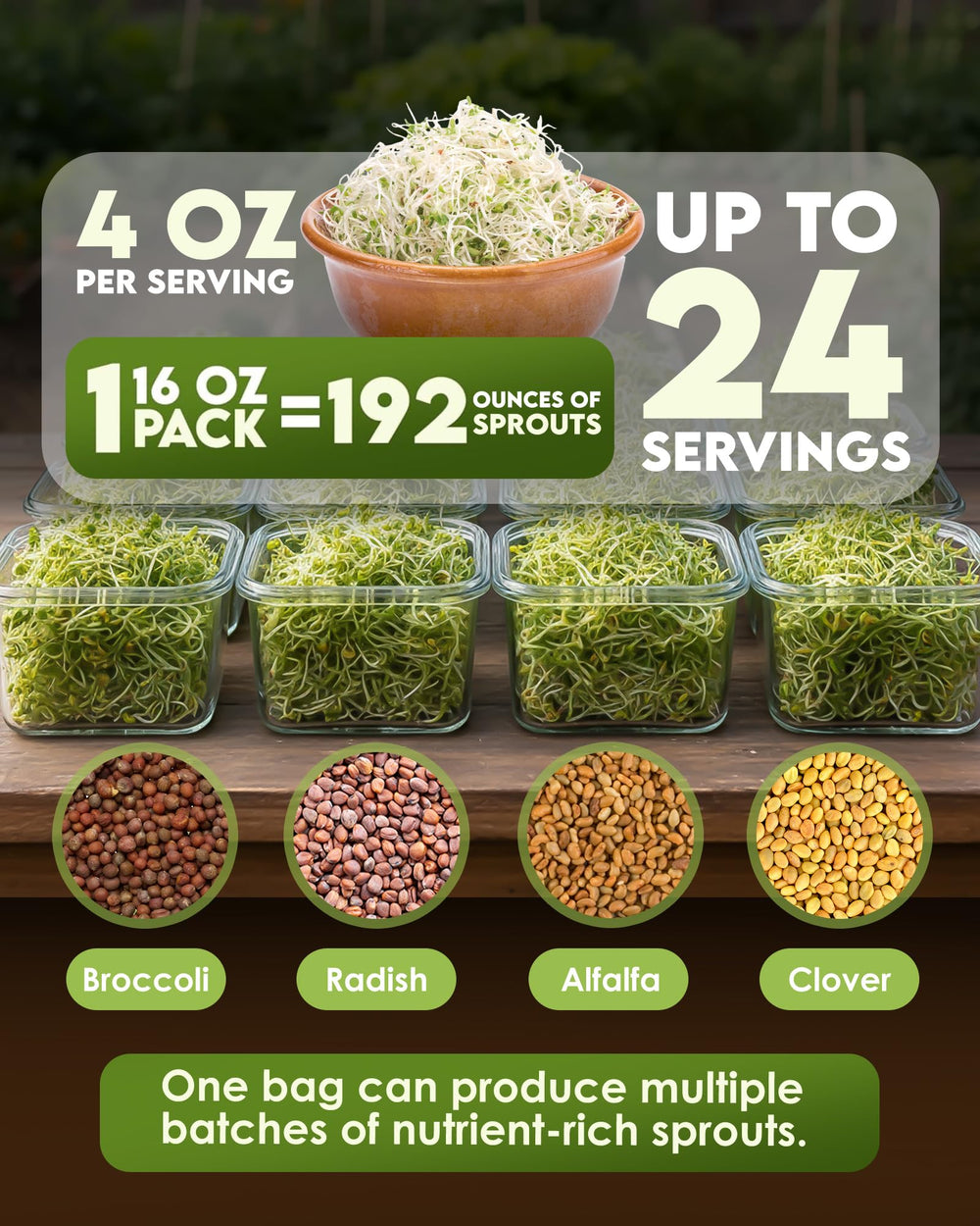 Nature Jims Sprouts detailed view of seed textures and sizes benefit: assess sowing mix