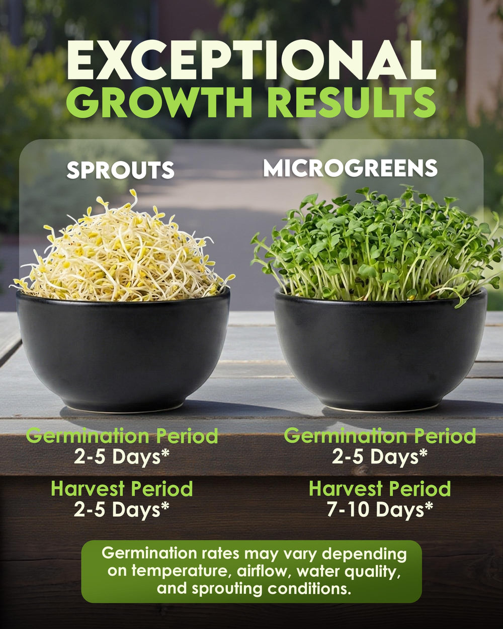 Nature Jim's Sprouts used as salad topping in kitchen, adds fresh crunch and color