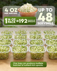 Nature Jim's Sprouts soaked seeds in jar during sprouting, demonstrates easy home process