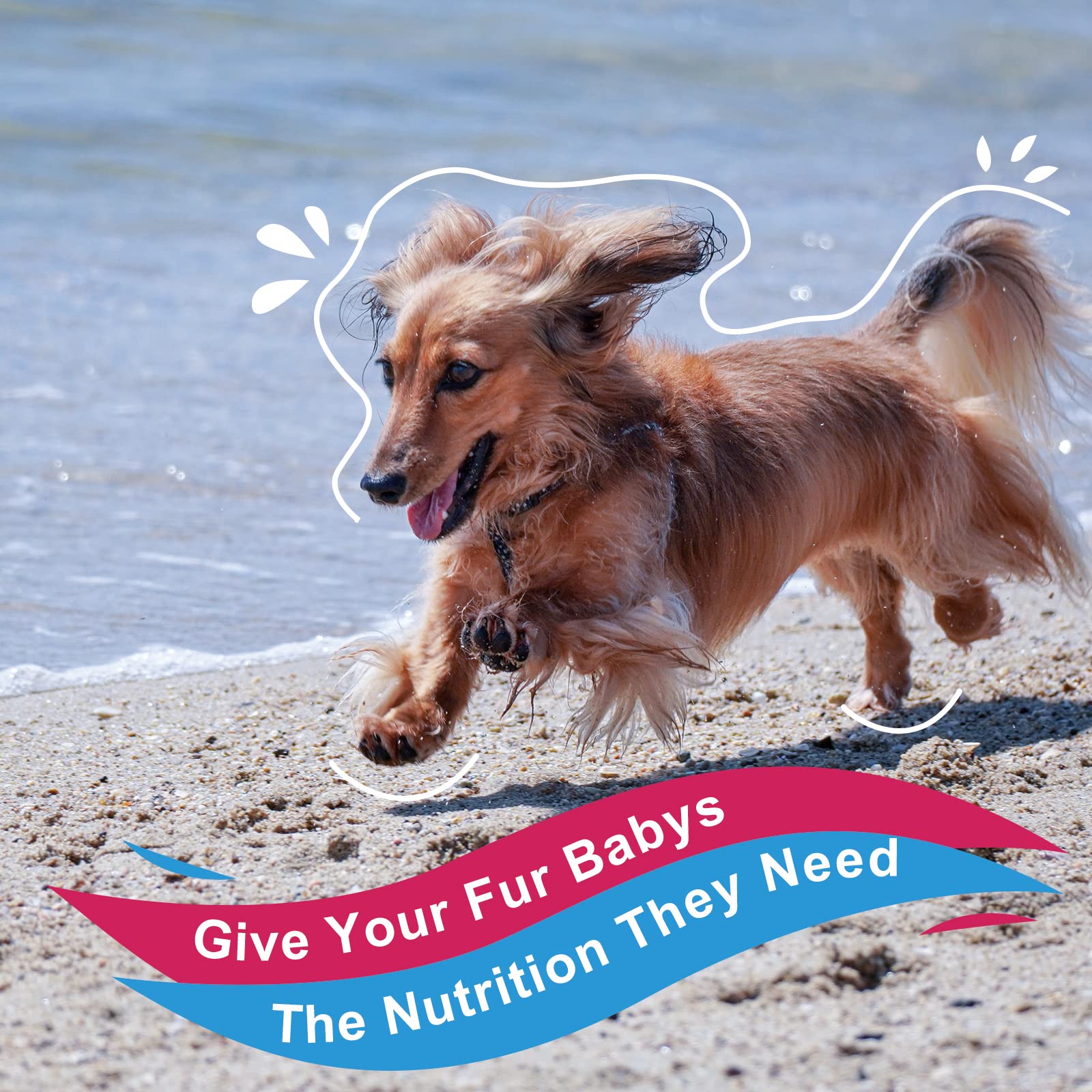 NATURE TARGET lifestyle shot of dog eating illustrating improved appetite and coat