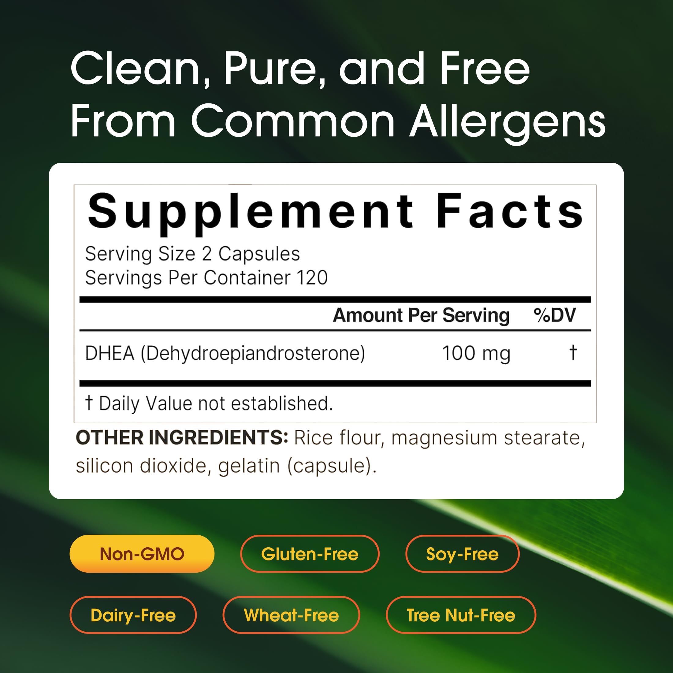 NatureBell powder texture close-up illustrating fine micronized particles and better uptake