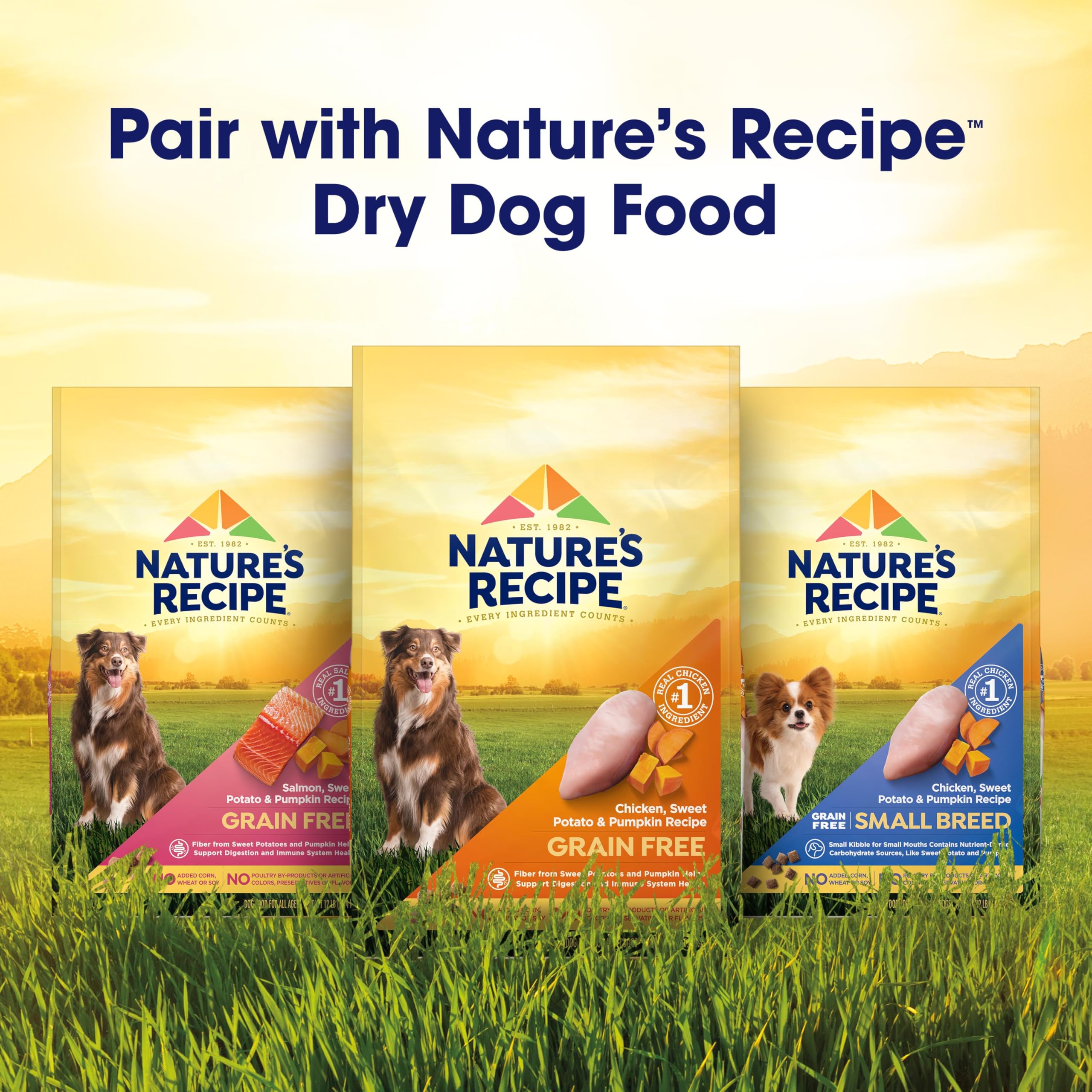 Nature's Recipe cup shown in travel bag to highlight portability