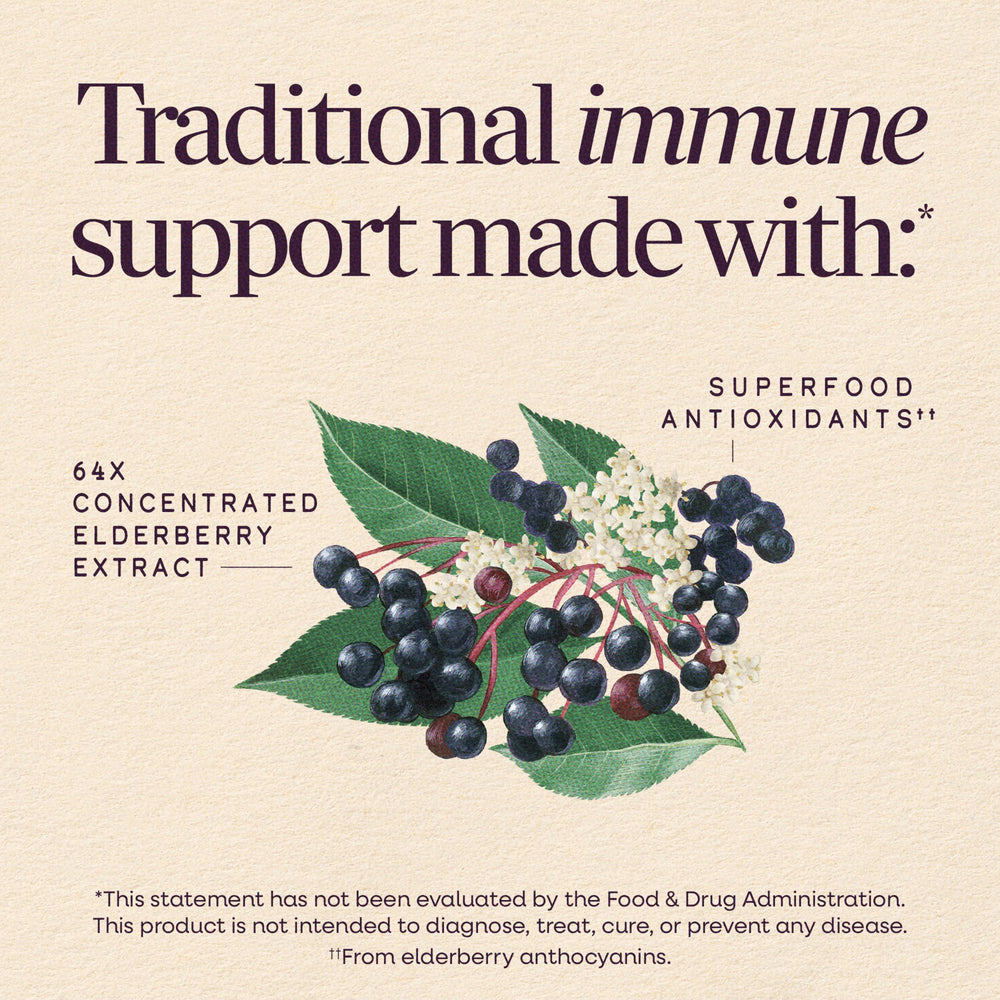 Closeup of elderberries used by Nature's Way, showing premium hand‑picked sourcing
