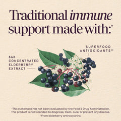 Closeup of elderberries used by Nature's Way, showing premium hand‑picked sourcing