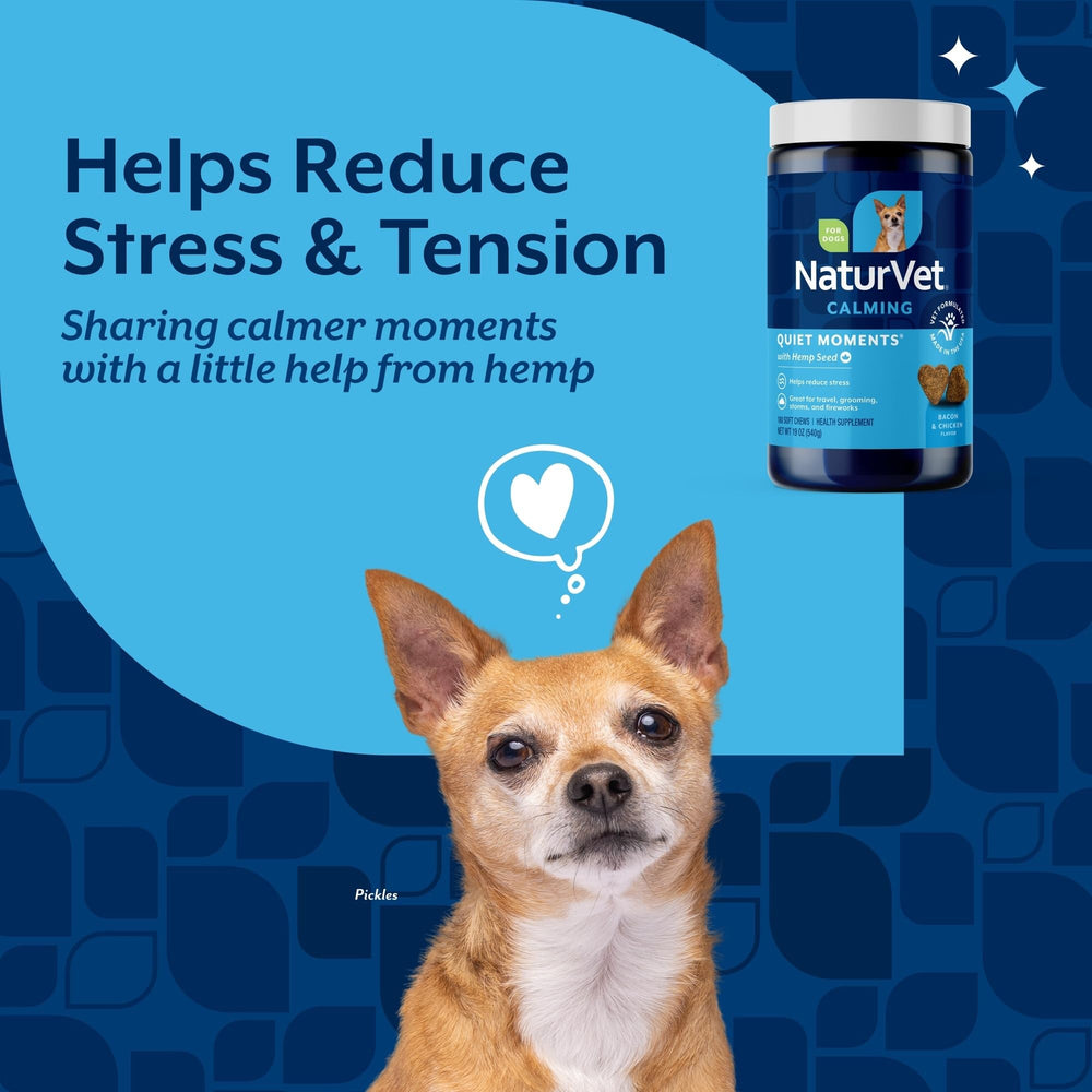 Hand holding NaturVet chew to show size and easy dosing benefit