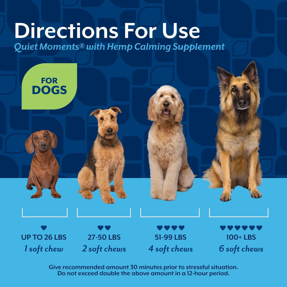 Dog accepting a NaturVet chew during grooming showing stress-relief aid benefit