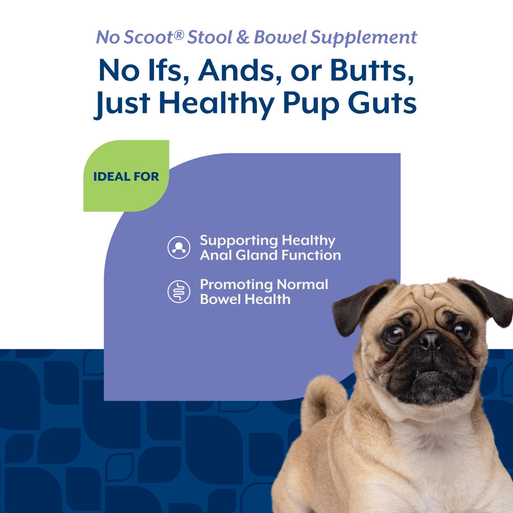 NaturVet chew beside a treat bowl demonstrating easy feeding