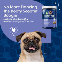 NaturVet ingredients label highlighting pumpkin beet pulp psyllium benefits
