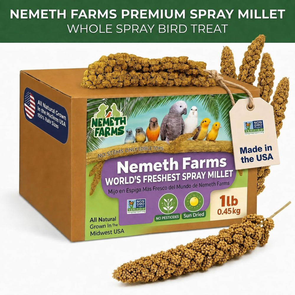 Close-up of Nemeth Farms seed clusters highlighting texture and seed-rich tops for foraging