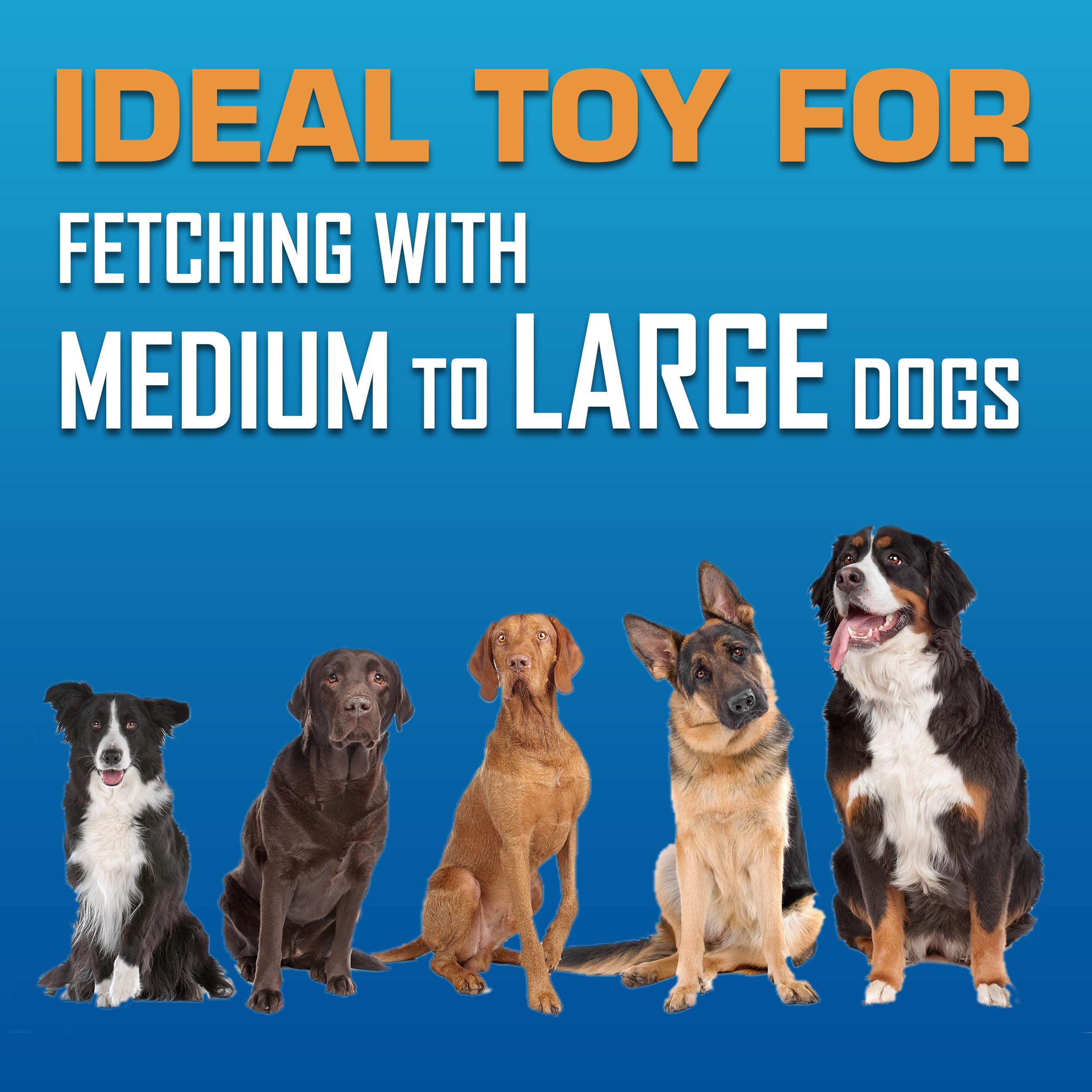 Nerf Dog bright translucent colors visible on grass for easy tracking benefit