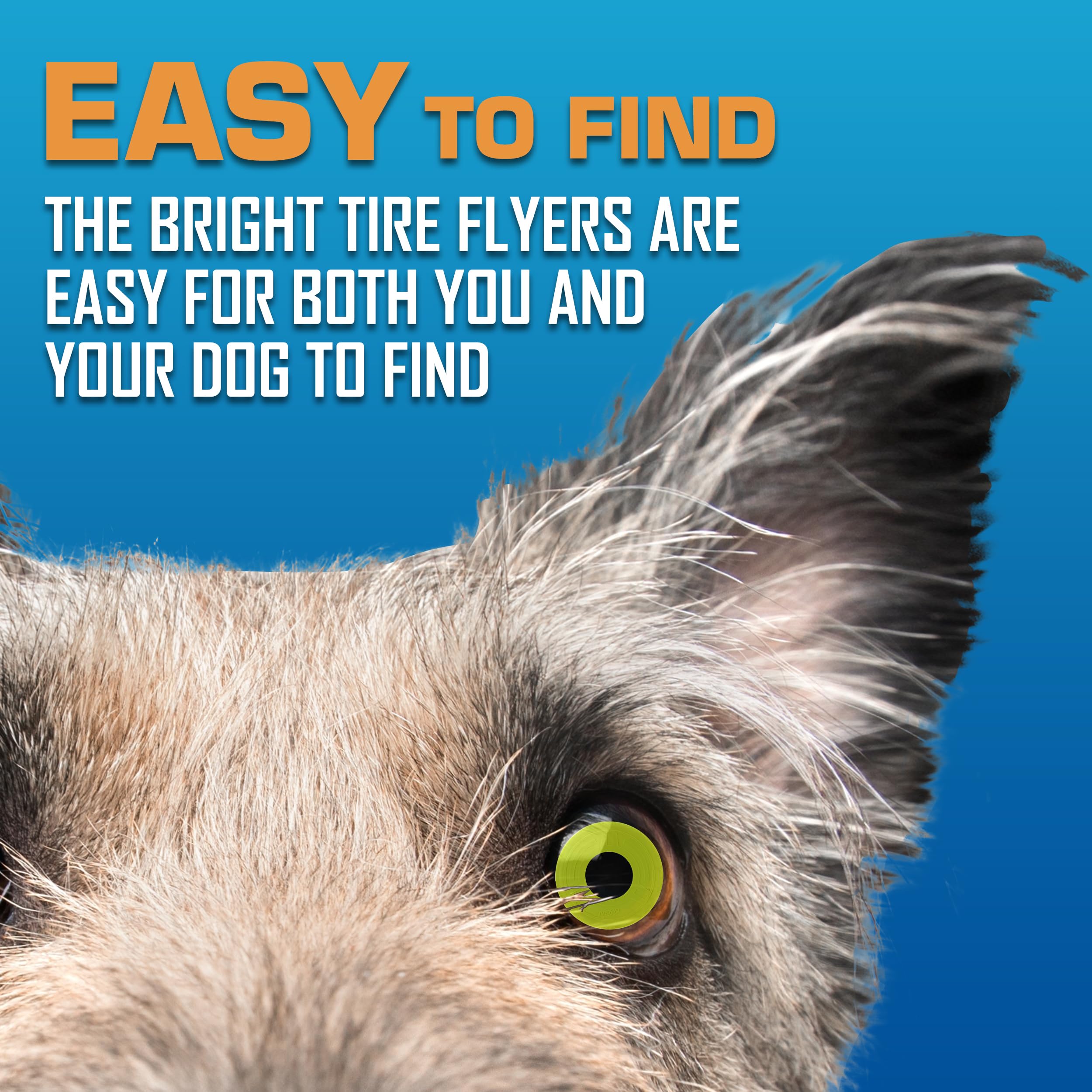 Nerf Dog Tire Flyer beside ruler showing 10-inch size benefit