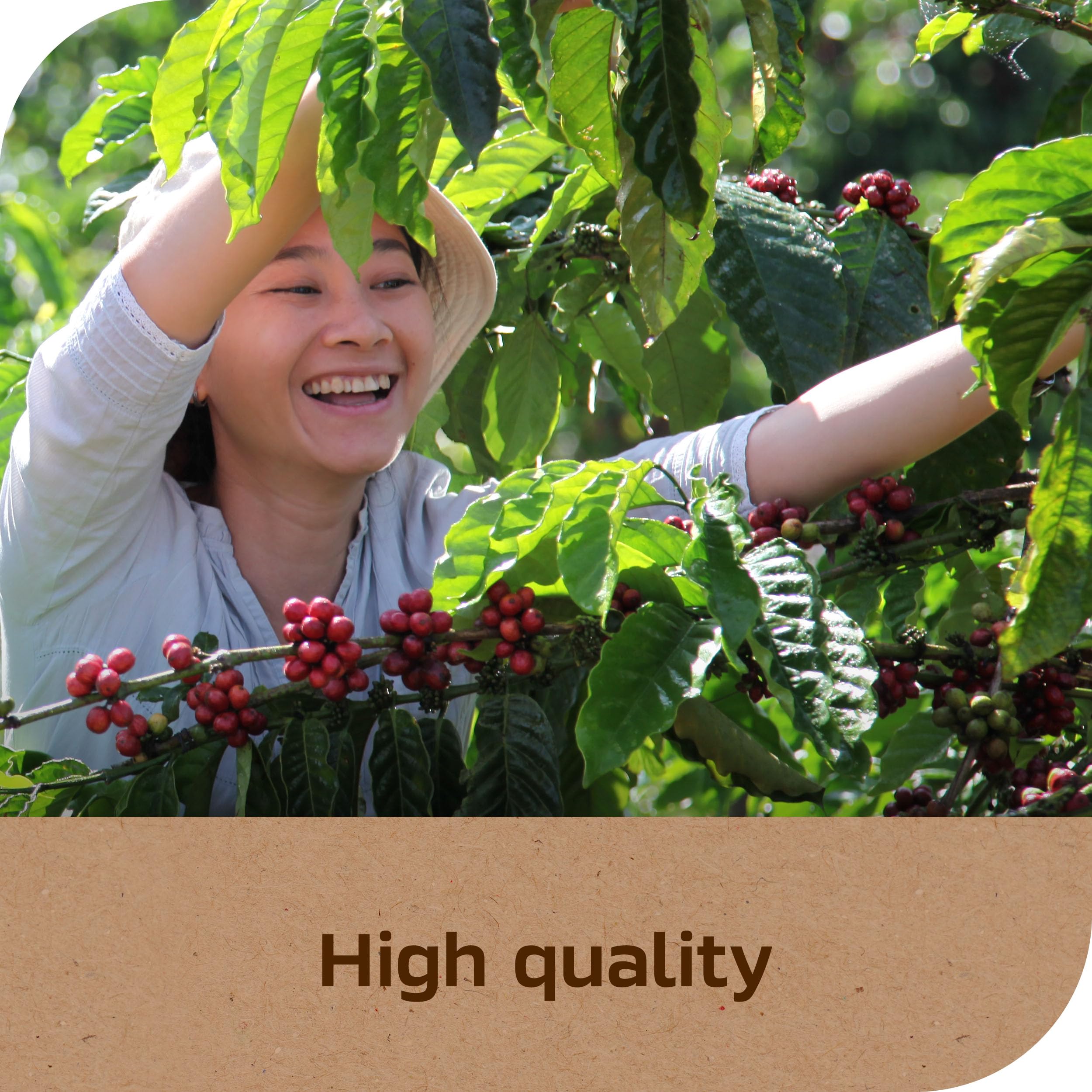 NESCAFÉ product label and ingredients displaying quality sourcing