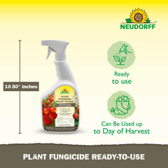 Neudorff being applied to a tomato plant reducing leaf disease risk