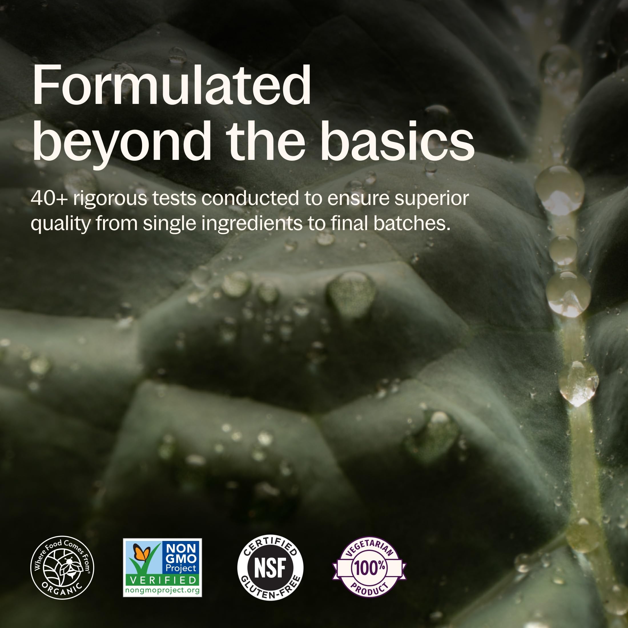 New Chapter fermented nutrient blend visual highlighting gentle absorption