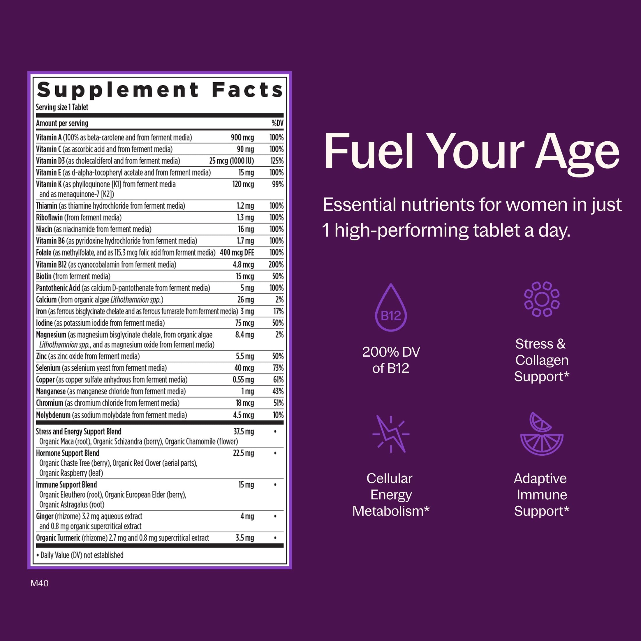 New Chapter tablets in hand demonstrating small easy-to-swallow size